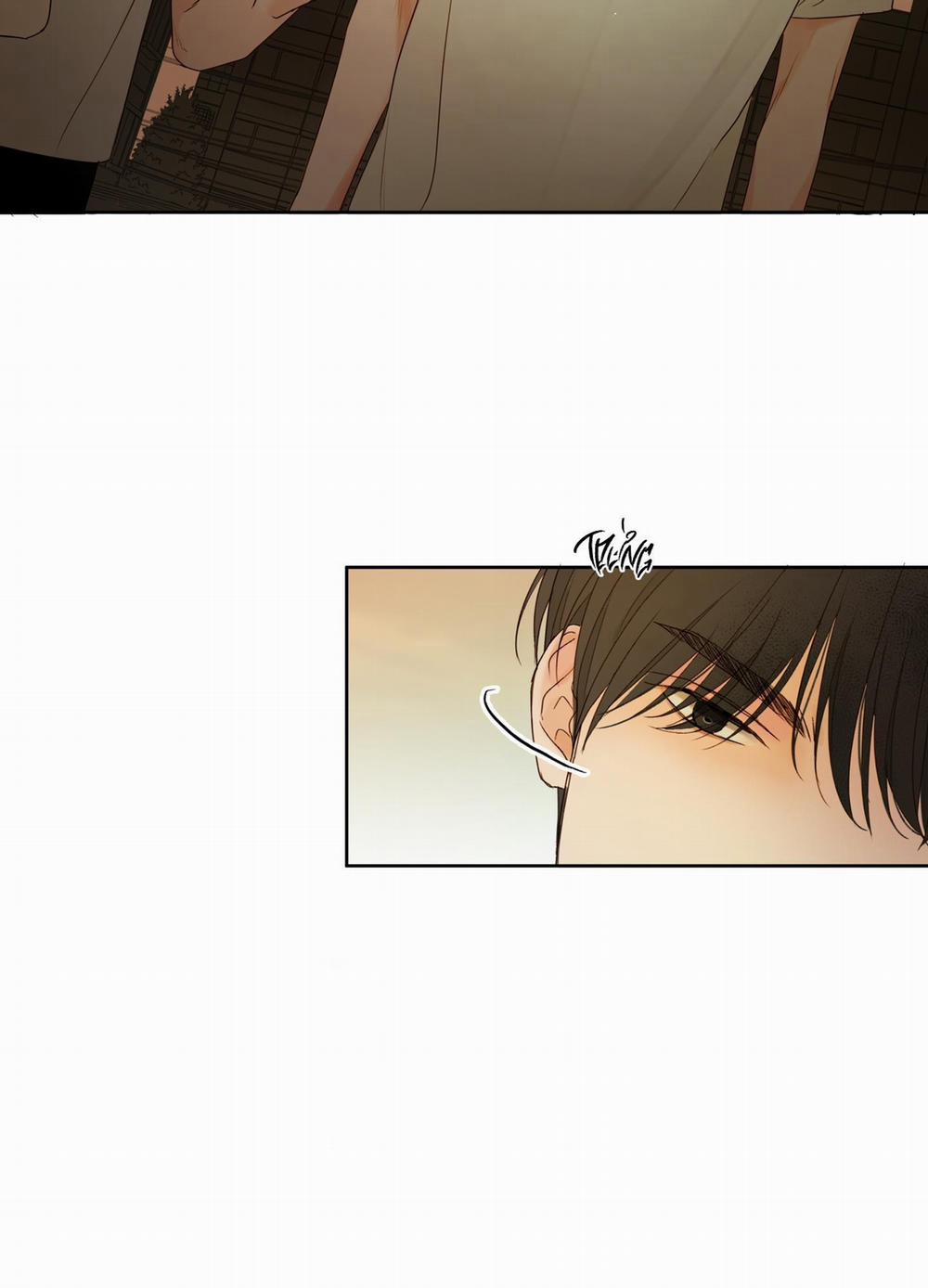 Ý nghĩa của một ánh nhìn 1 trang 5