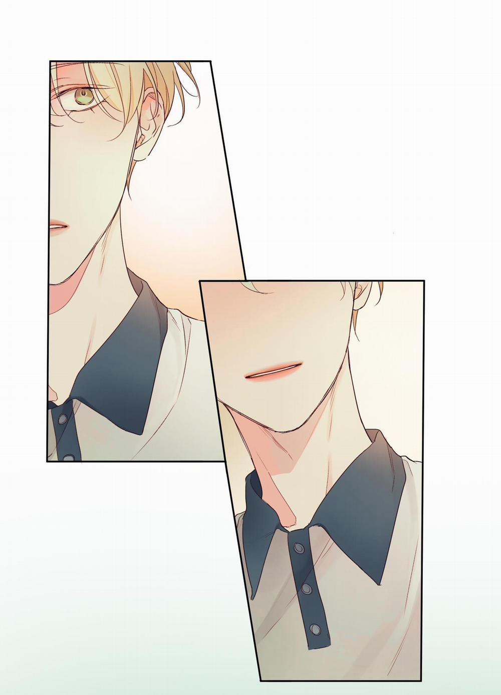 Ý nghĩa của một ánh nhìn 1 trang 6