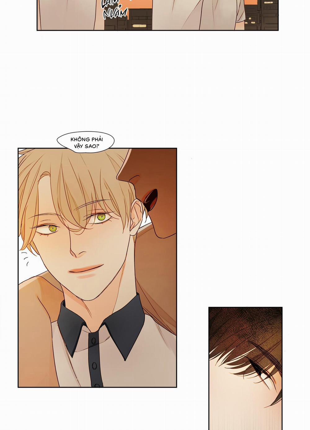 Ý nghĩa của một ánh nhìn 2 trang 17