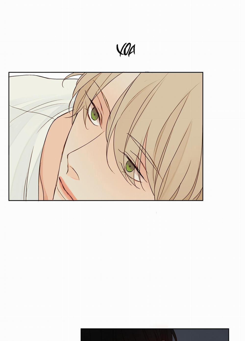 Ý nghĩa của một ánh nhìn 2 trang 45