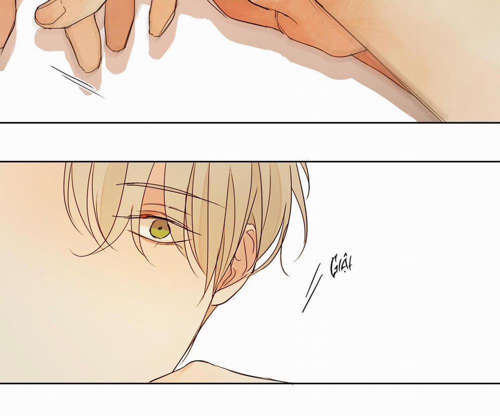 Ý nghĩa của một ánh nhìn 2 trang 56