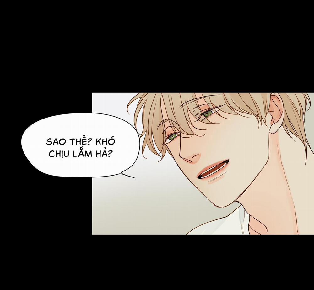 Ý nghĩa của một ánh nhìn 3 trang 16