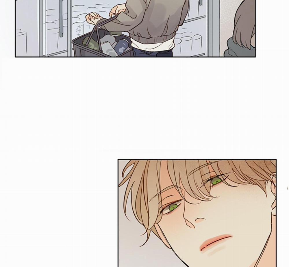 Ý nghĩa của một ánh nhìn 4 trang 14