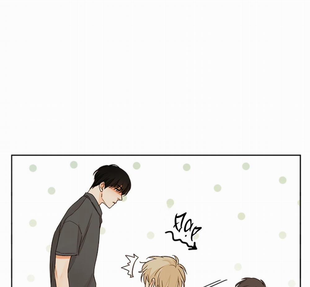 Ý nghĩa của một ánh nhìn 4 trang 45