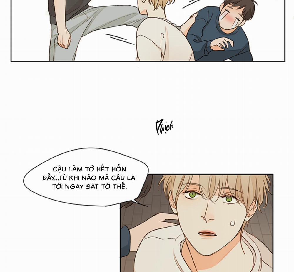 Ý nghĩa của một ánh nhìn 4 trang 46