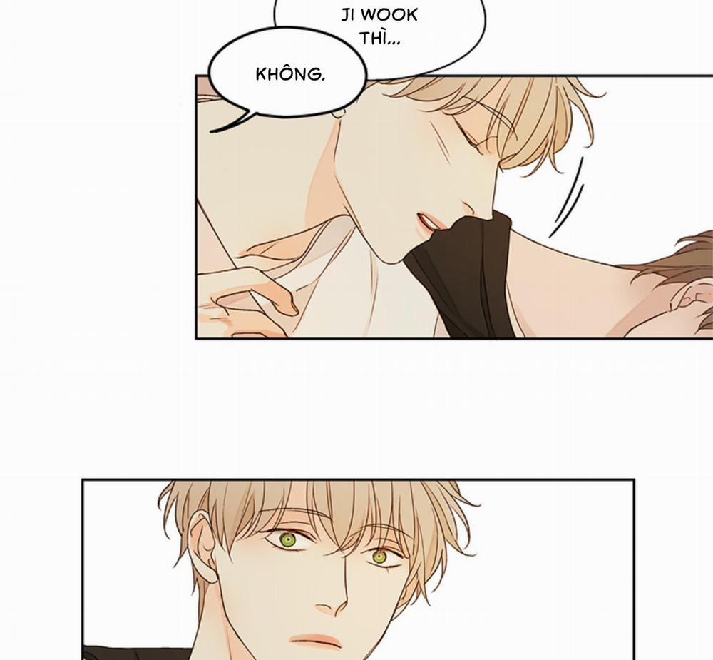 Ý nghĩa của một ánh nhìn 4 trang 49