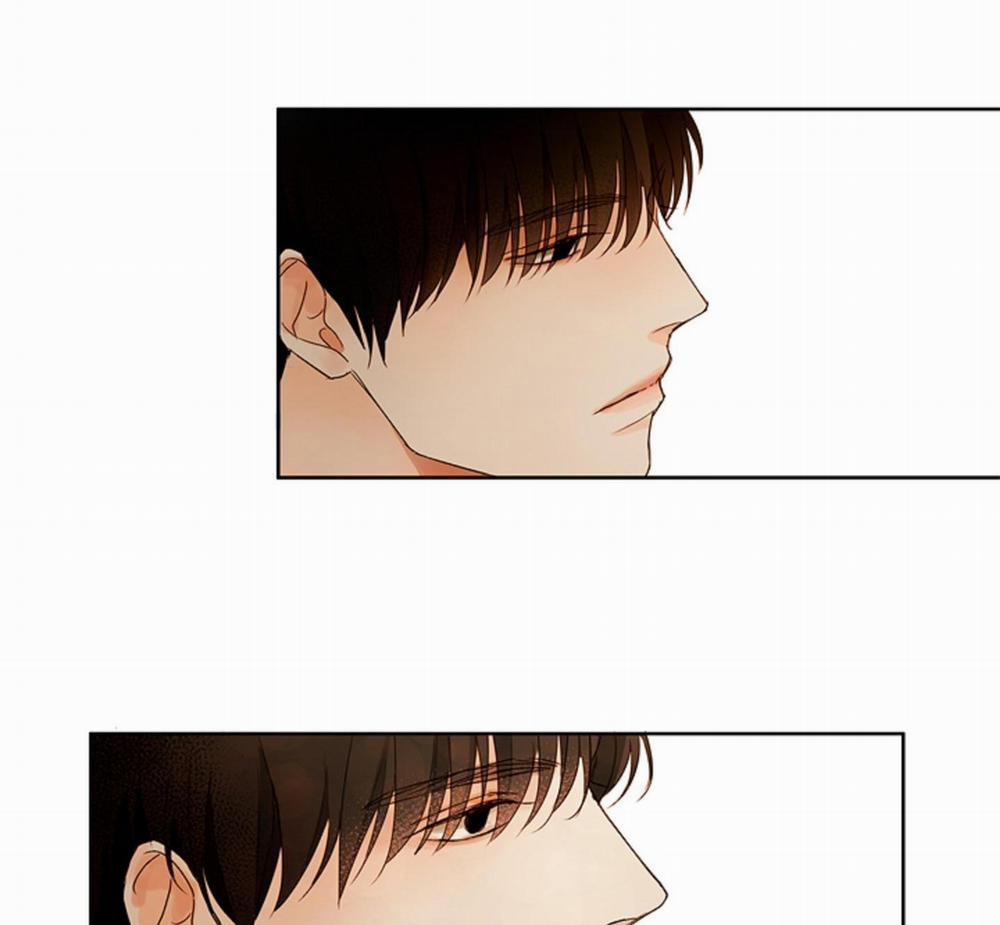 Ý nghĩa của một ánh nhìn 4 trang 56