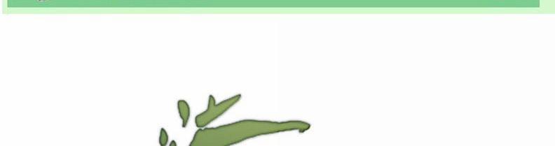 Ý Trung Nhân 25 trang 0