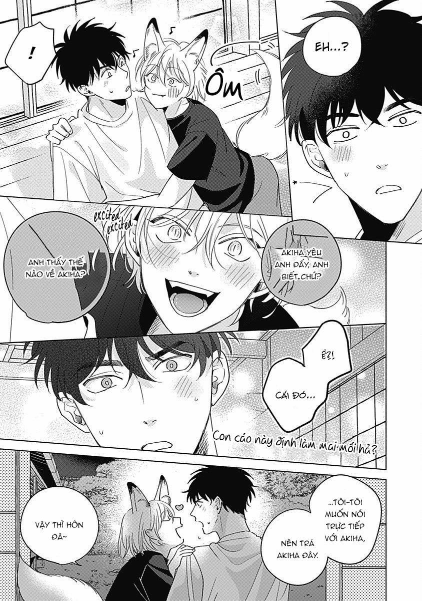 Yakimochi wa Kitsuneiroo 5 trang 19