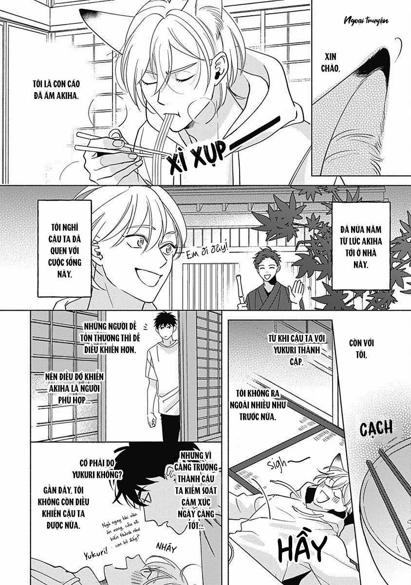 Yakimochi wa Kitsuneiroo 6 trang 0