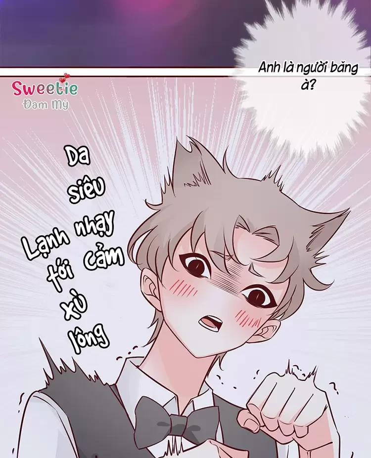 Yêu Anh, Bất Kể Giới Tính 1 trang 35