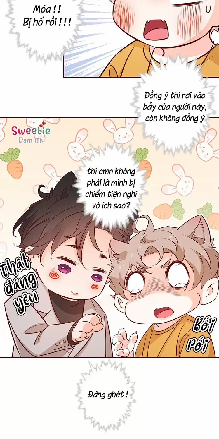 Yêu Anh, Bất Kể Giới Tính 12 trang 15