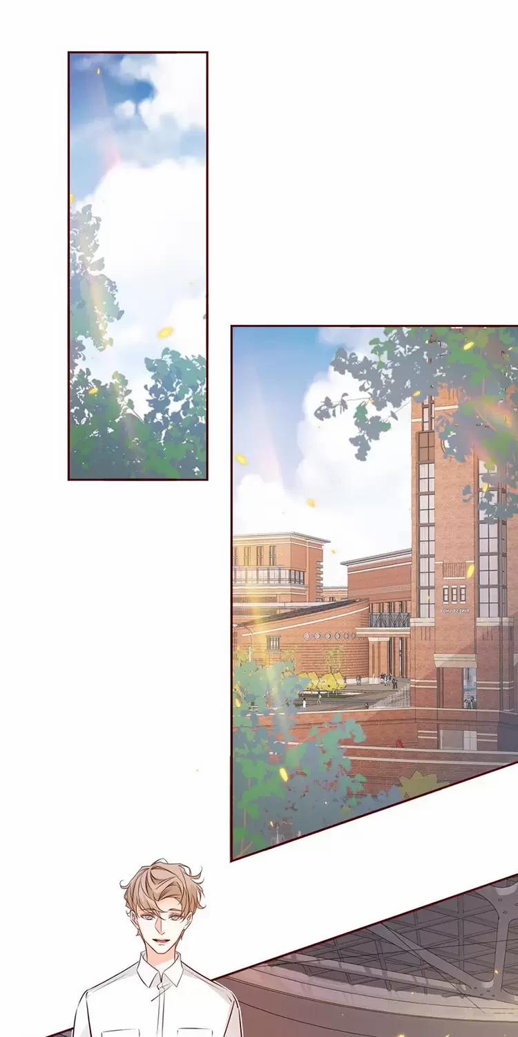 Yêu Anh, Bất Kể Giới Tính 13 trang 13