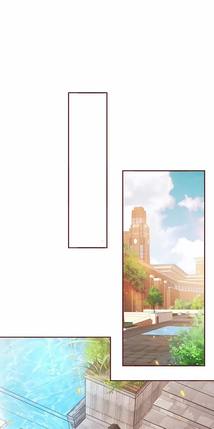 Yêu Anh, Bất Kể Giới Tính 13 trang 19