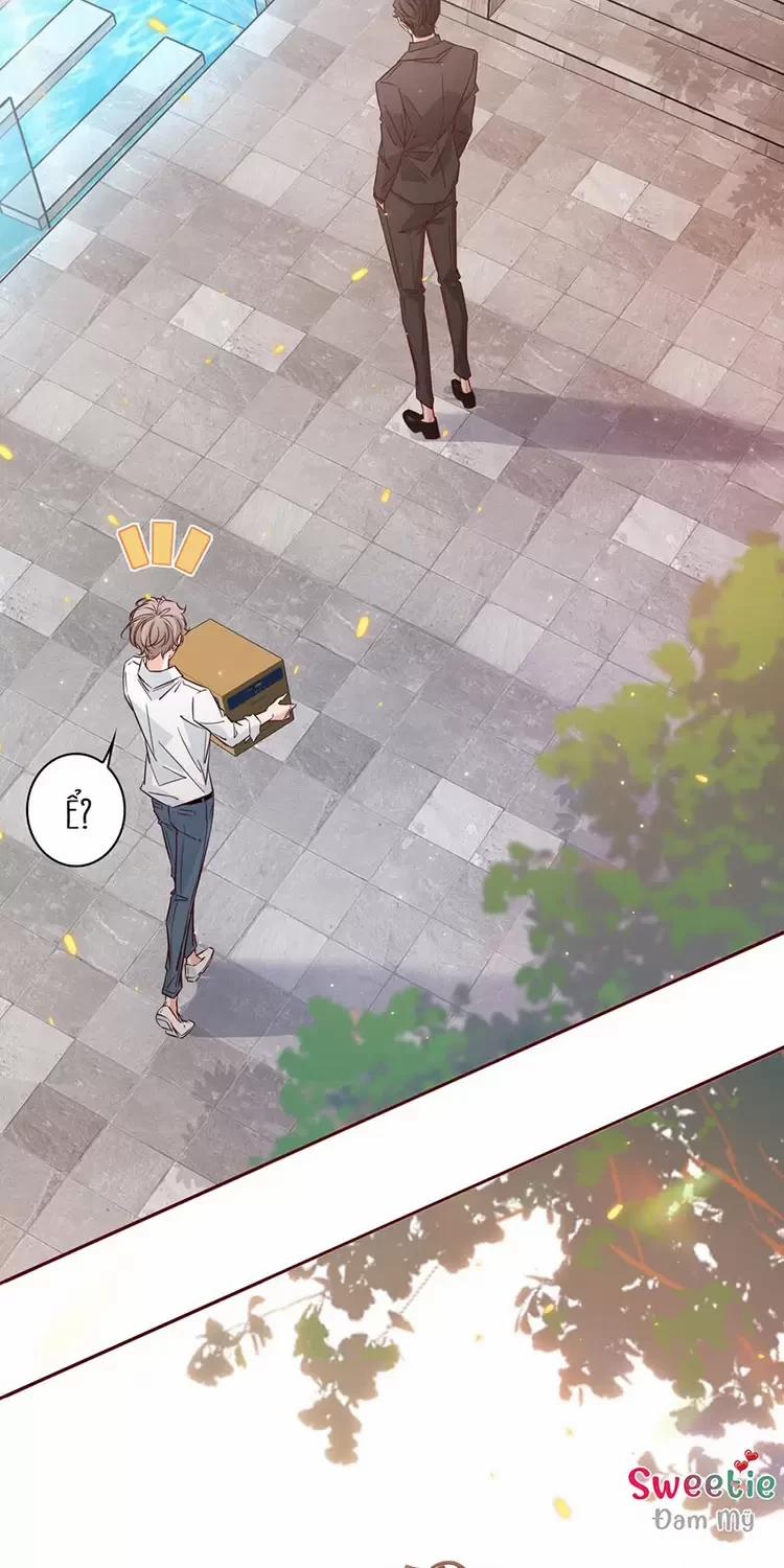 Yêu Anh, Bất Kể Giới Tính 13 trang 20