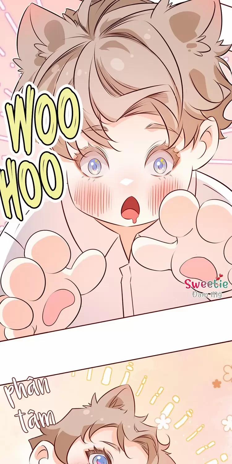 Yêu Anh, Bất Kể Giới Tính 15 trang 13