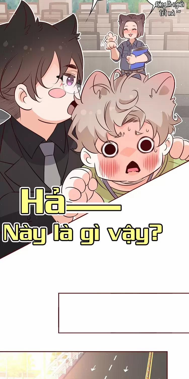 Yêu Anh, Bất Kể Giới Tính 17 trang 14