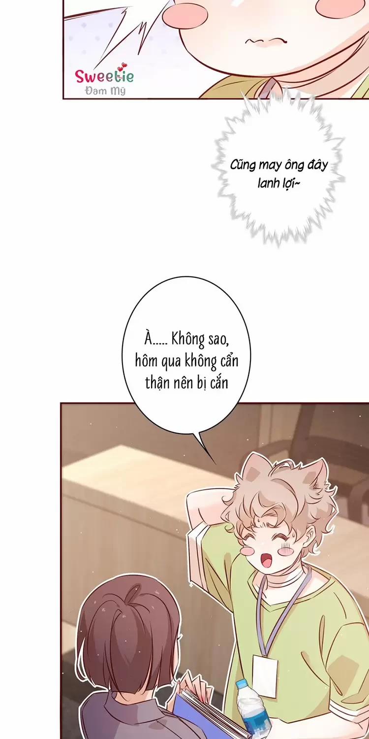 Yêu Anh, Bất Kể Giới Tính 17 trang 6