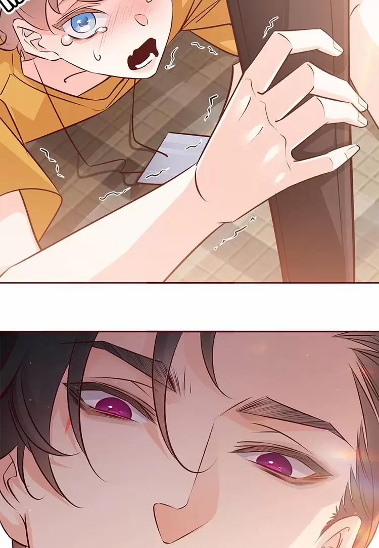 Yêu Anh, Bất Kể Giới Tính 5 trang 26