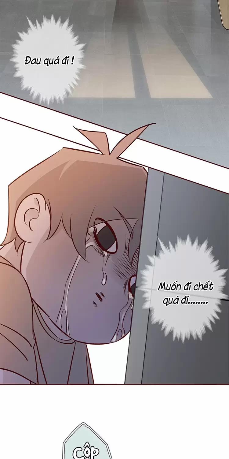 Yêu Anh, Bất Kể Giới Tính 6 trang 11