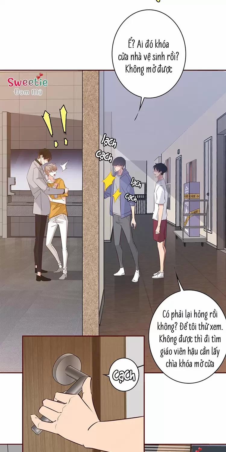 Yêu Anh, Bất Kể Giới Tính 7 trang 12