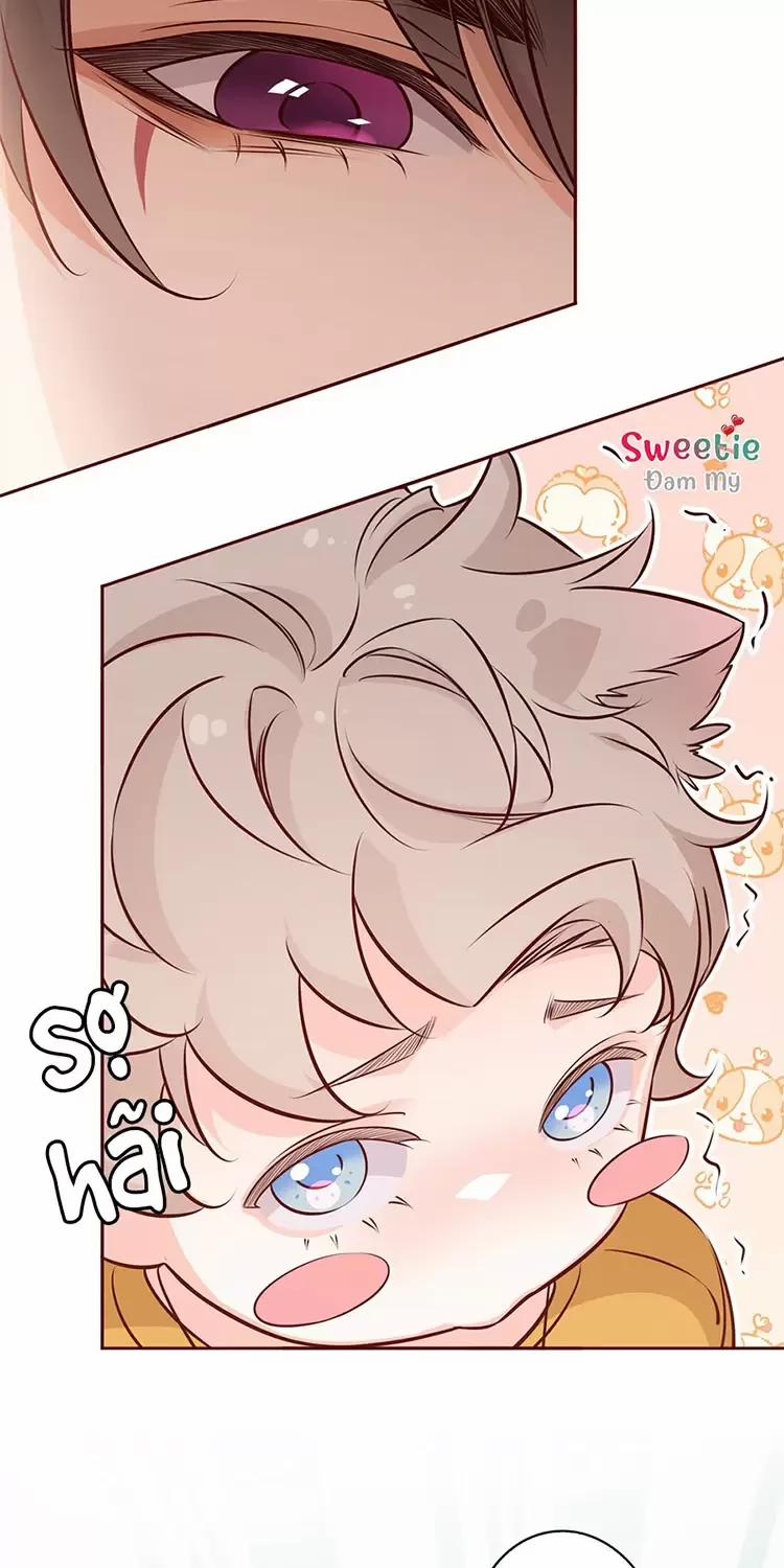 Yêu Anh, Bất Kể Giới Tính 8 trang 10