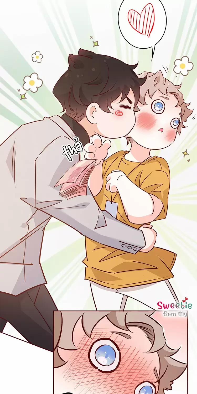 Yêu Anh, Bất Kể Giới Tính 8 trang 11