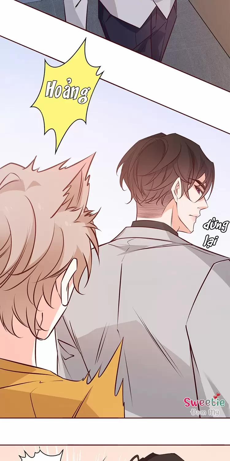 Yêu Anh, Bất Kể Giới Tính 8 trang 21