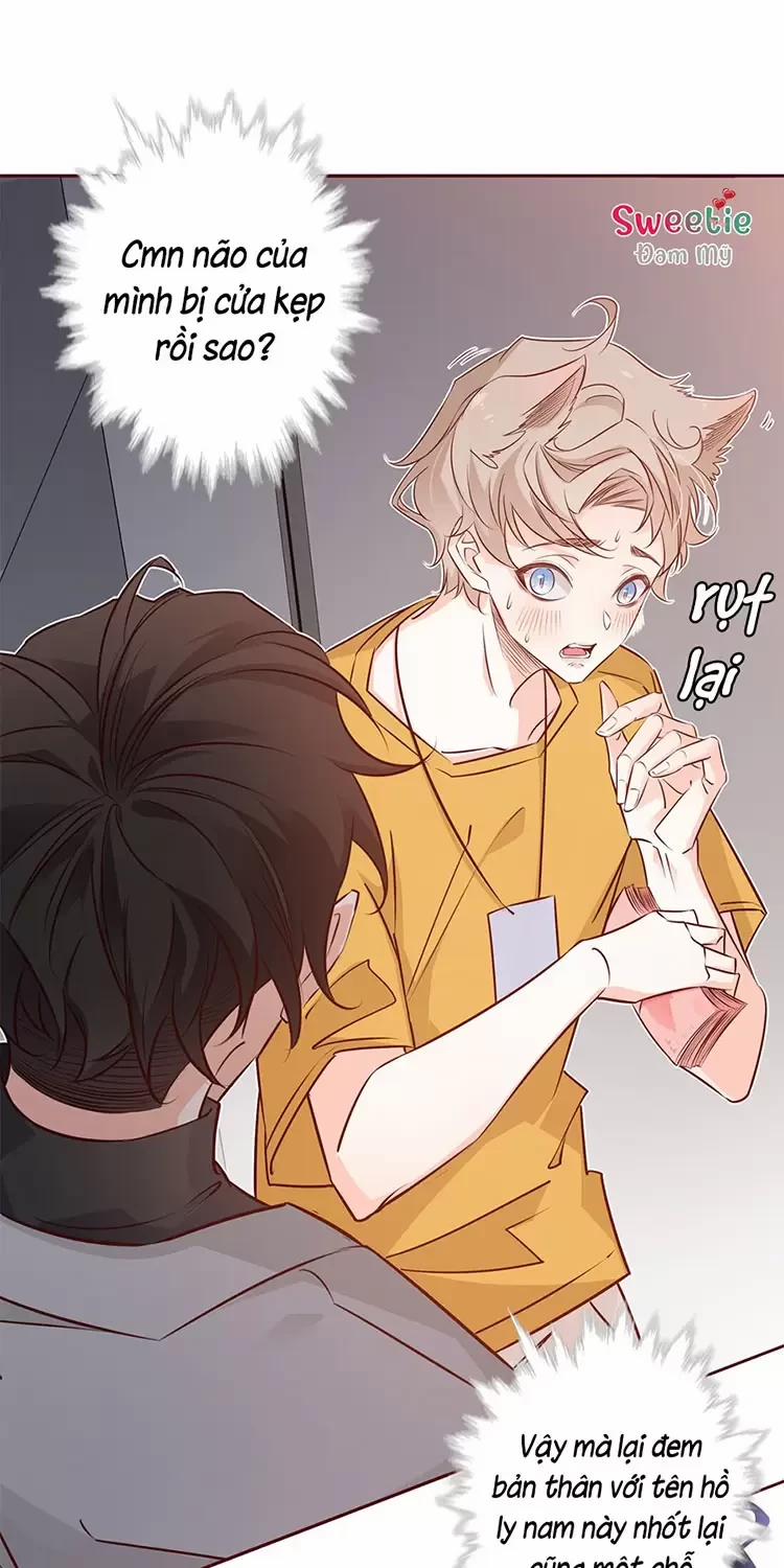 Yêu Anh, Bất Kể Giới Tính 8 trang 3