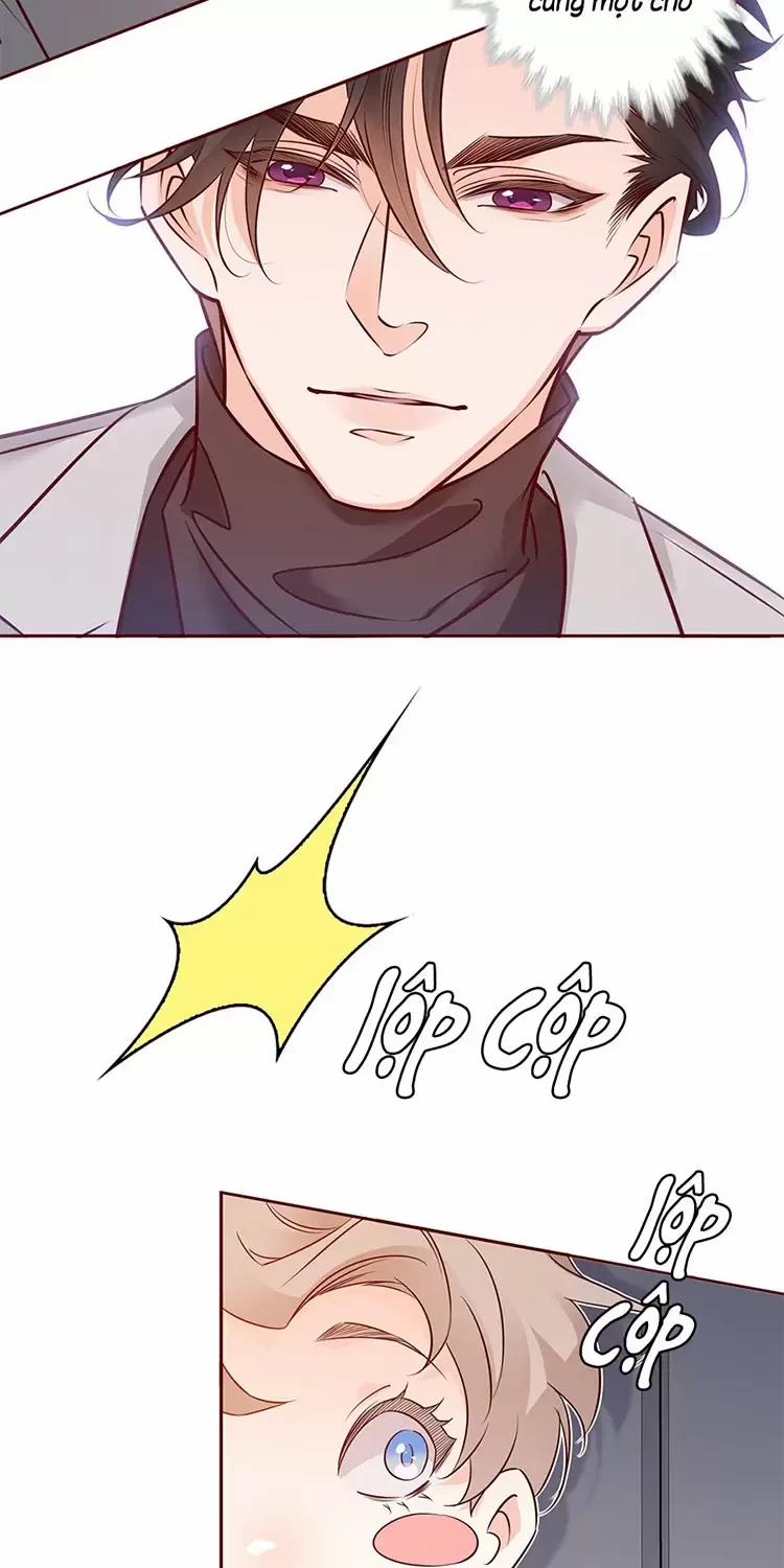 Yêu Anh, Bất Kể Giới Tính 8 trang 4