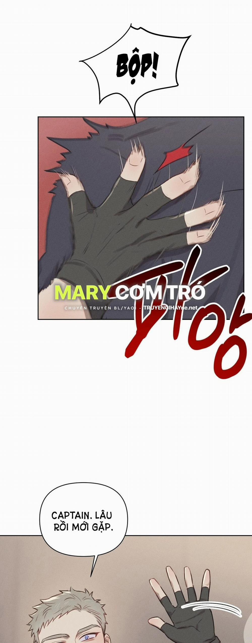 Yêu Chàng Đại Úy Lãng Mạn 11.1 trang 26