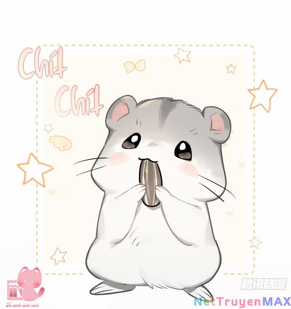 Yêu Đương Không Bằng Thả Thính Idol 19 trang 40