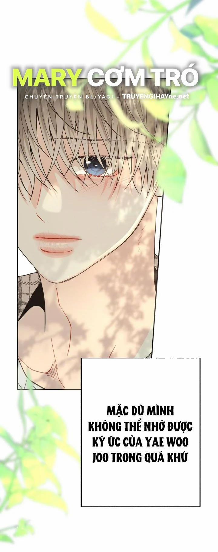 Yêu Em Thêm Lần Nữa (Love Me Again) 17.1 trang 3