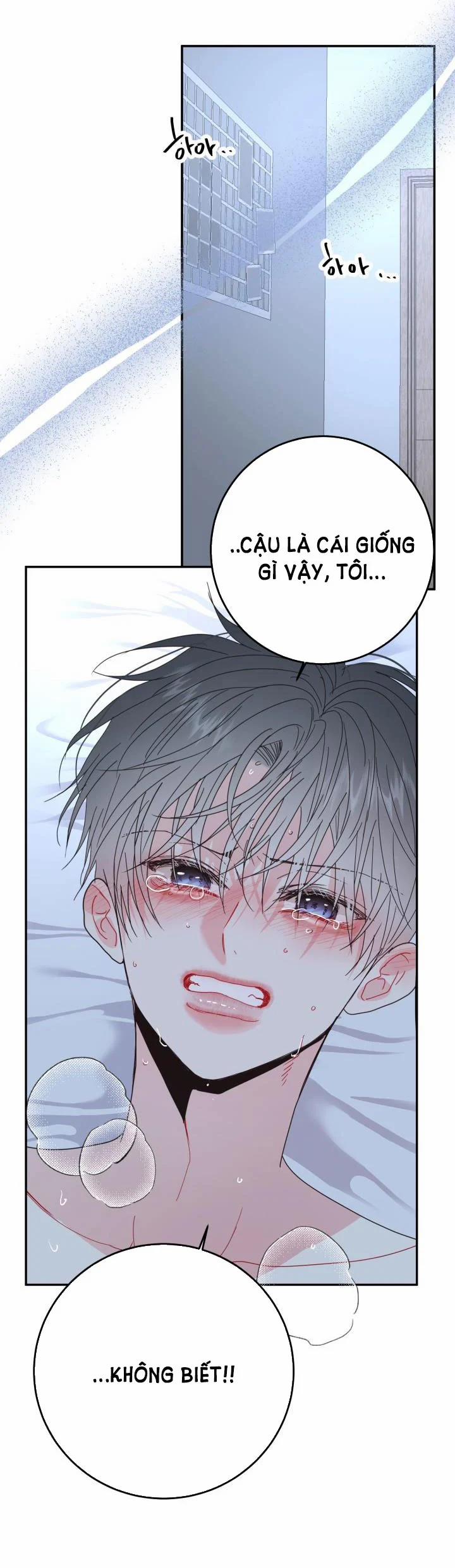 Yêu Em Thêm Lần Nữa (Love Me Again) 27.1 trang 13