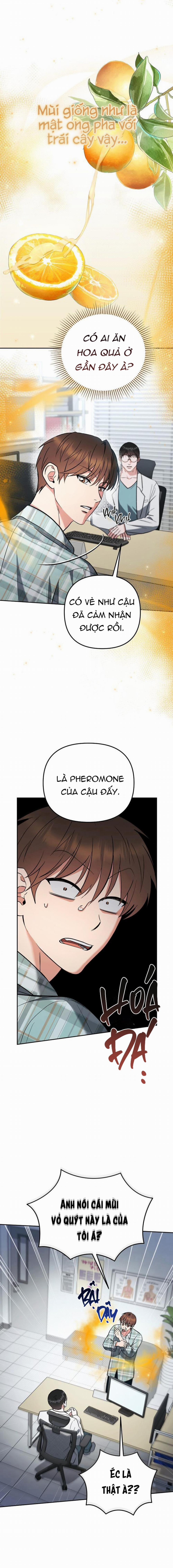 Yêu Không Mơ Mộng 1 trang 13