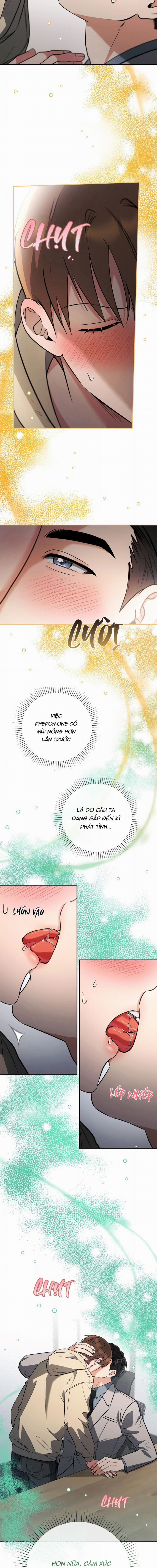 Yêu Không Mơ Mộng 13 trang 2