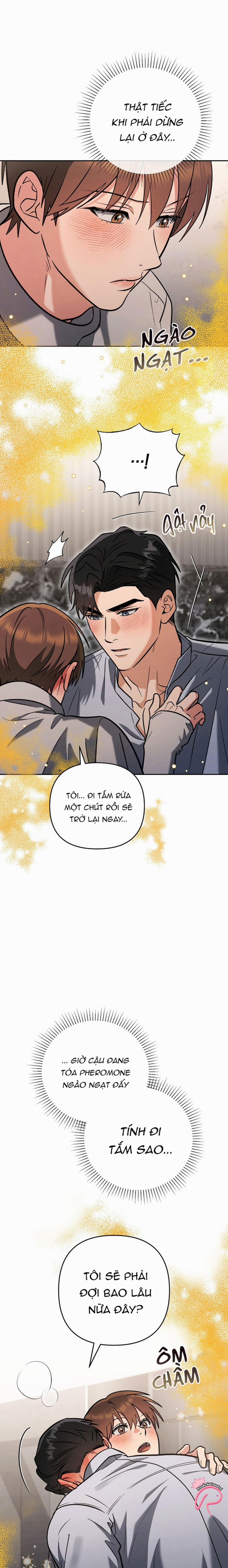 Yêu Không Mơ Mộng 19 trang 13