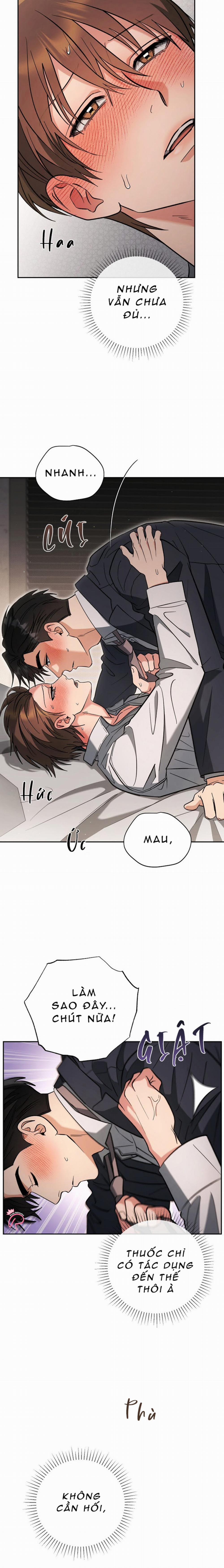 Yêu Không Mơ Mộng 27 trang 8