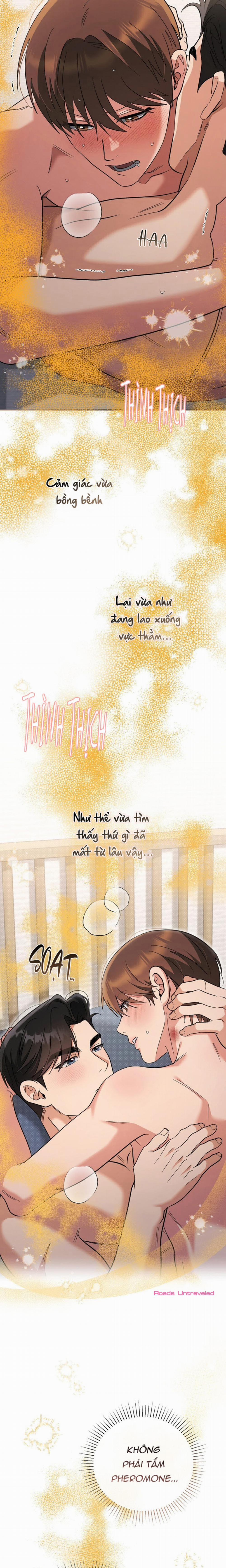 Yêu Không Mơ Mộng 33 trang 11