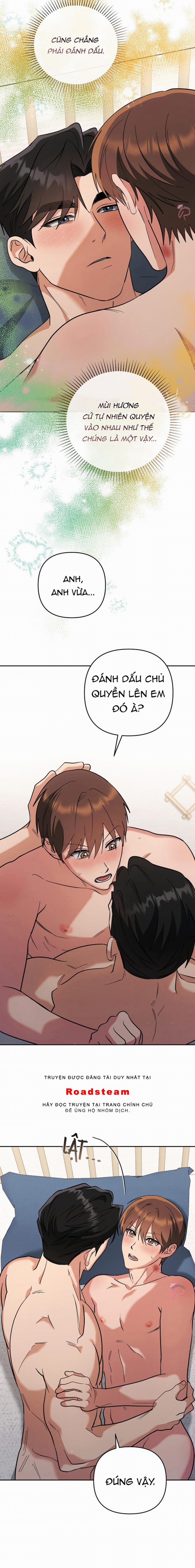 Yêu Không Mơ Mộng 33 trang 12