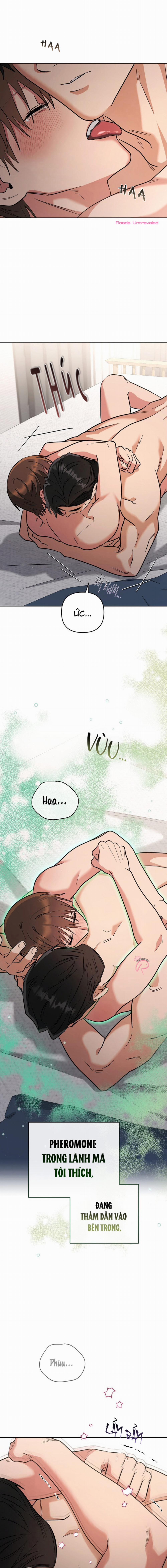 Yêu Không Mơ Mộng 33 trang 19