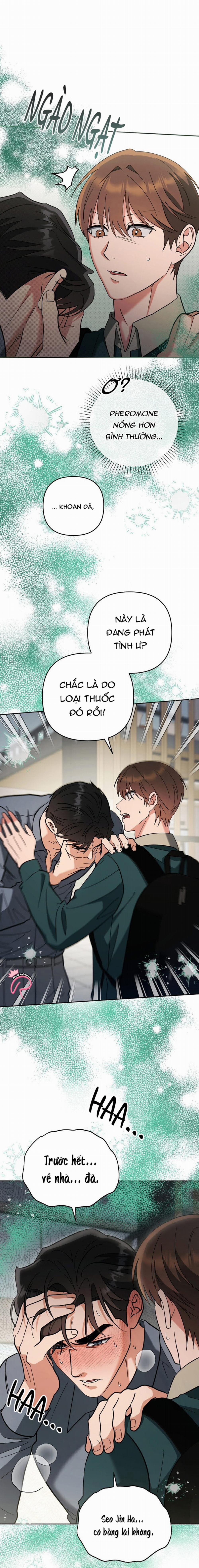 Yêu Không Mơ Mộng 36 trang 12