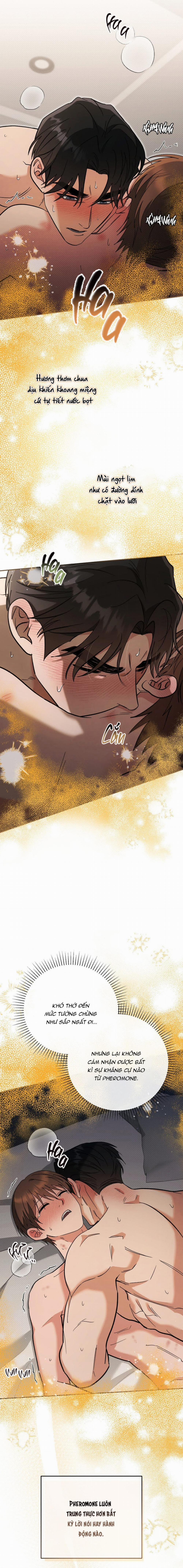 Yêu Không Mơ Mộng 37 trang 8