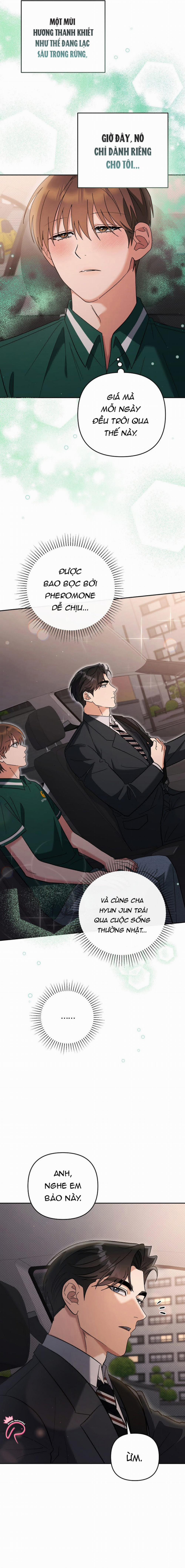 Yêu Không Mơ Mộng 38 trang 11