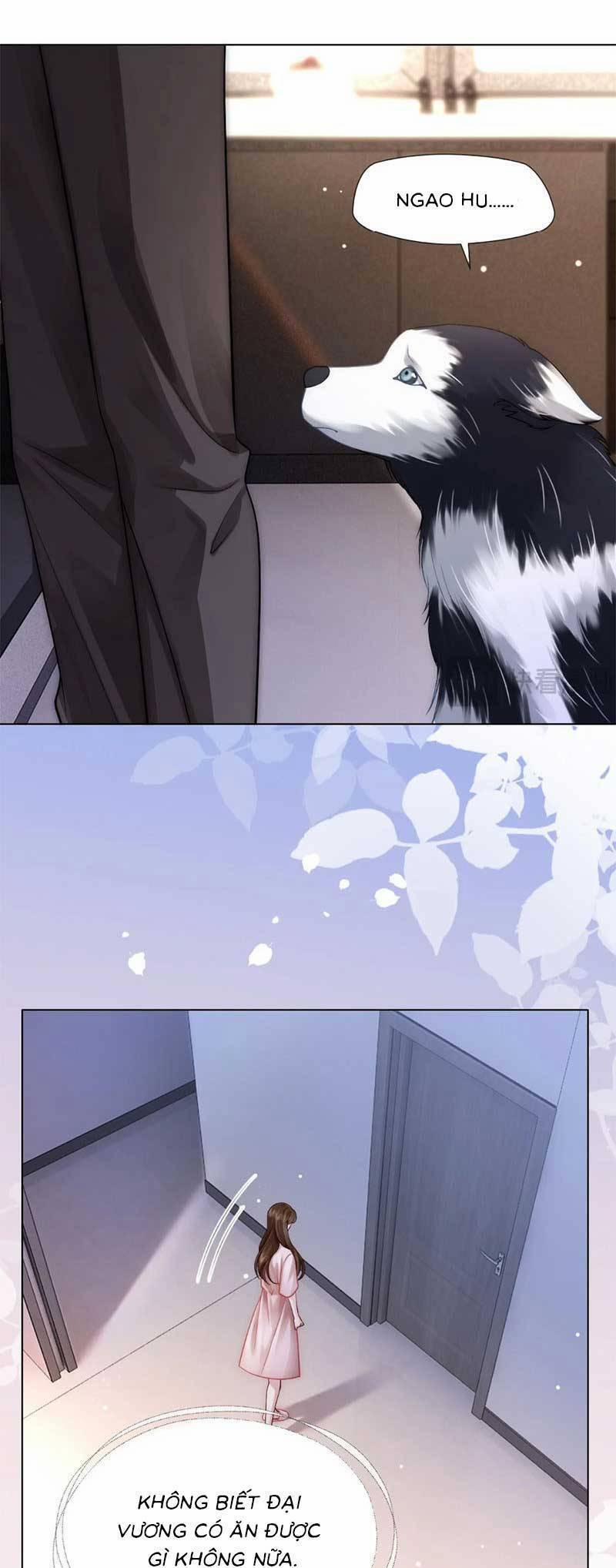 Yêu Lại Sau Một Đêm Bên Nhau 17 trang 12