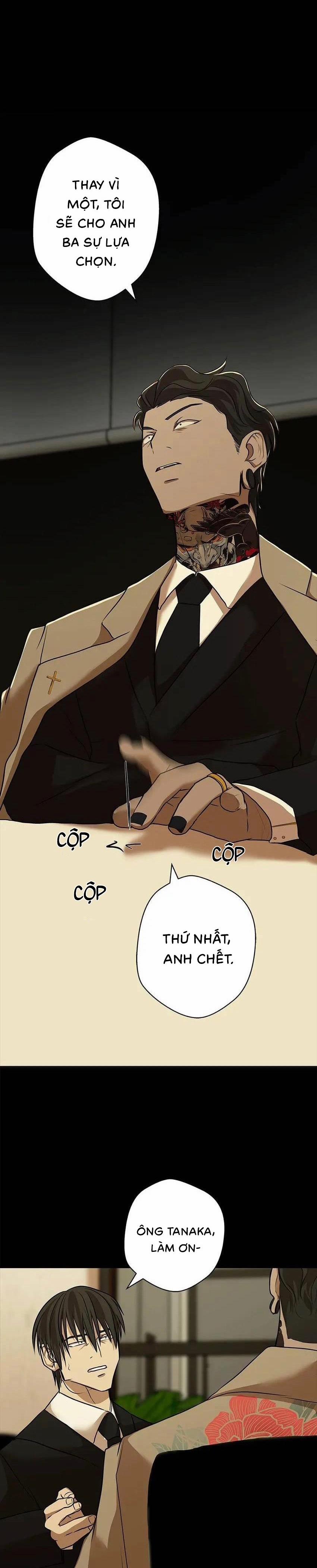 Yêu Phải Kẻ Sát Nhân Bóng Rổ 28 trang 5