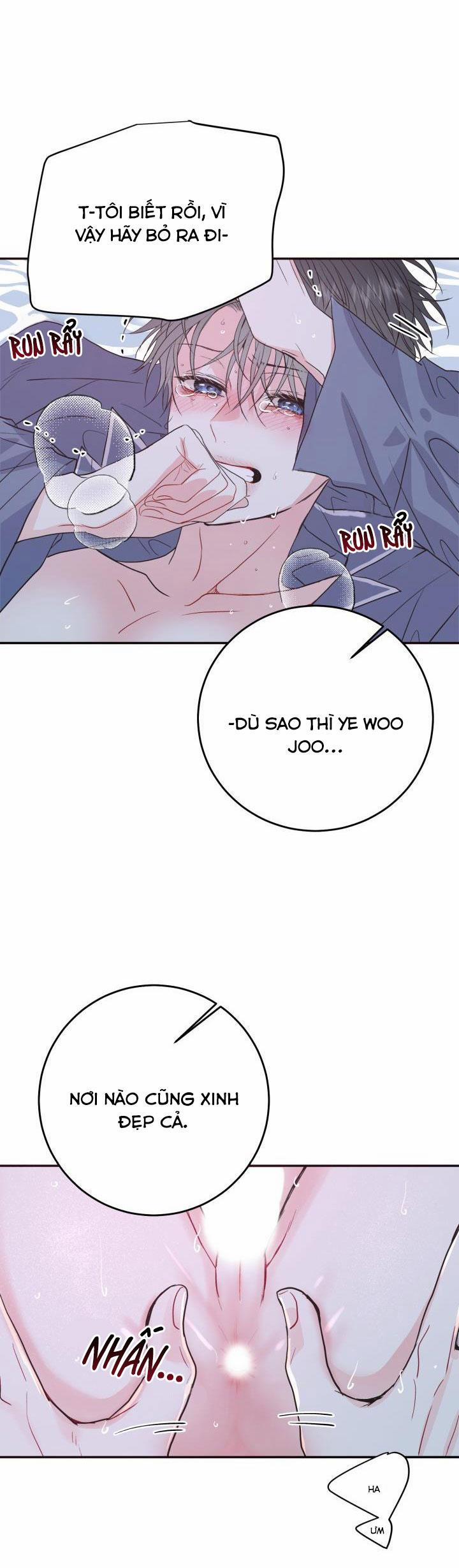 YÊU THÊM LẦN NỮA (LOVE ME AGAIN) 5 trang 12