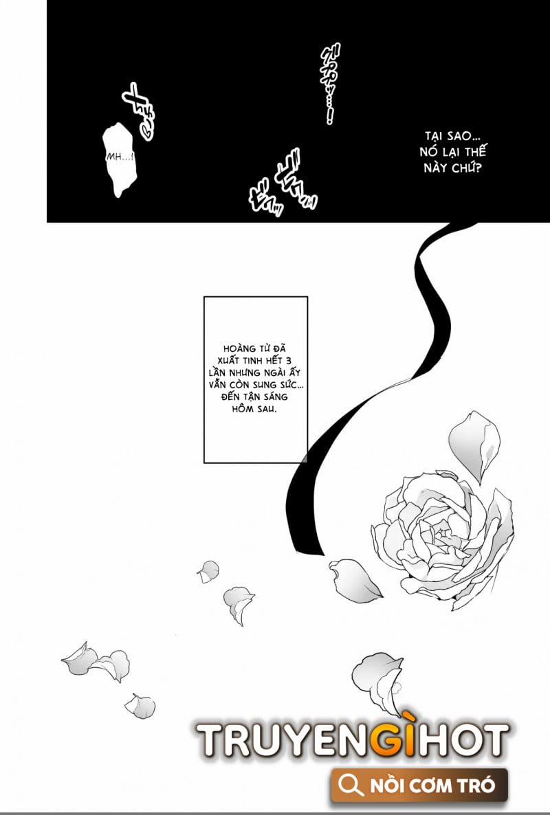 Yêu Thích Nam Phụ, Tôi Chuyển Sinh Vào Otome Game Rồi Bị Nam Chính Giam Cầm 2.1 trang 9