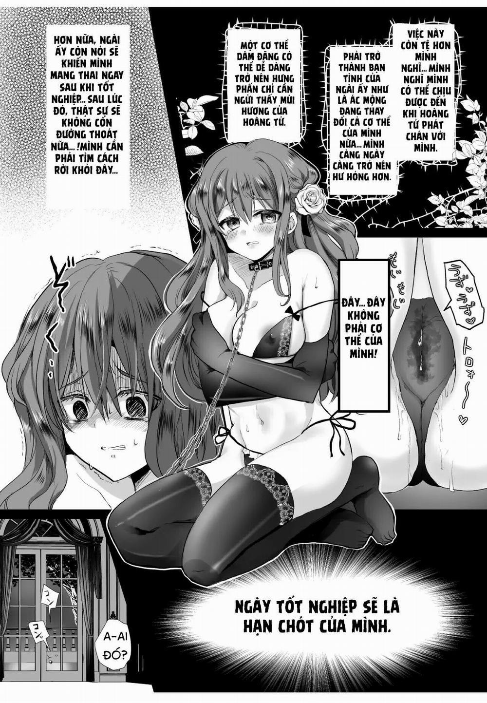 Yêu Thích Nam Phụ, Tôi Chuyển Sinh Vào Otome Game Rồi Bị Nam Chính Giam Cầm 3.2 trang 8