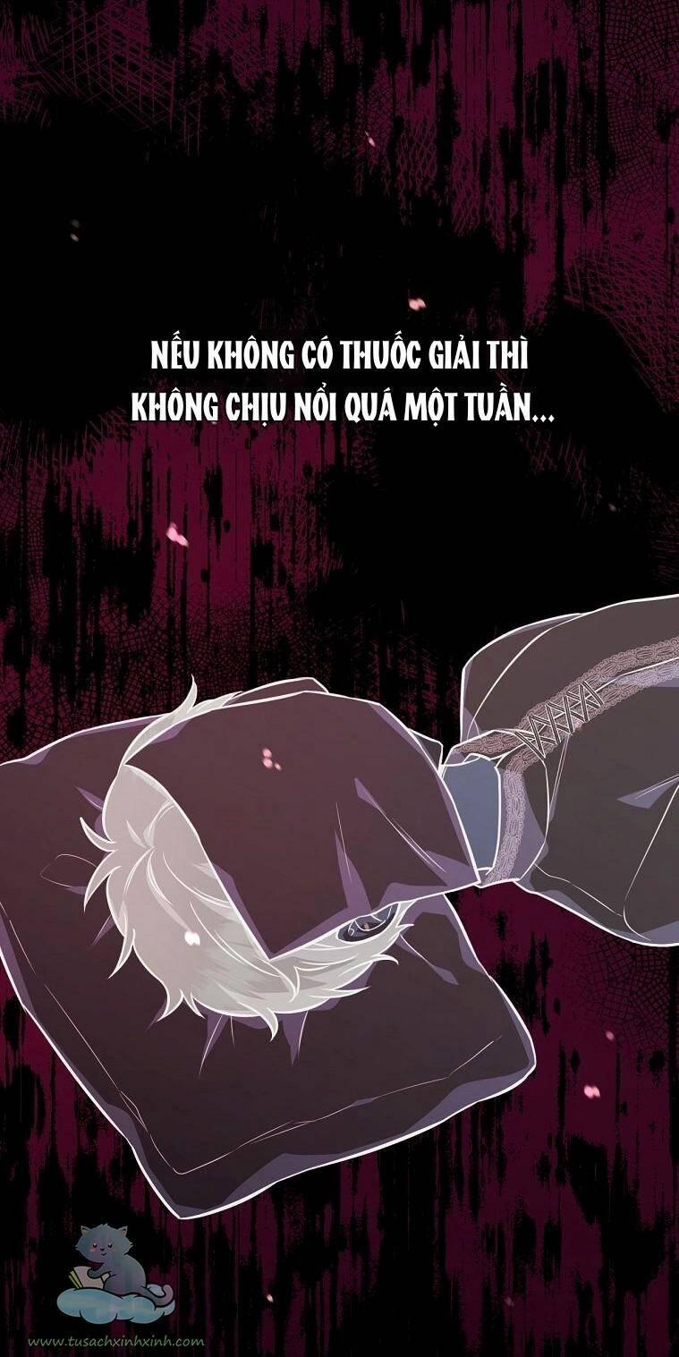 Yêu Tôi Đi, Dù Sao Ngài Cũng Chỉ Là Nhân Vật Phụ 36 trang 16